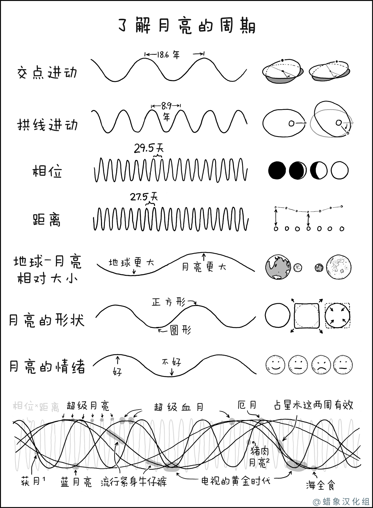 月亮的周期 月亮的周期